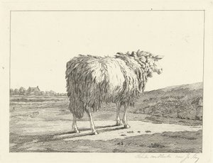 Ovce v krajině od Christiaan Godfried Schutze van Houten