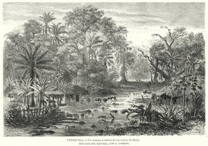 Cesta přes džungle Zulia, Venezuela (litho) od Christian Anton Goering