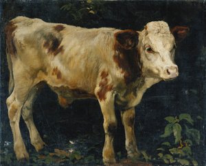 Býčí tele, 1876