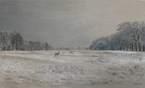 Jelen na sněhu - Richmond Park, 2015 (olej na plátně) od Christian Furr