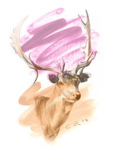 Jelení hlava - Cerise Sienna, 2004 (olej a kontura na papíře) od Christian Furr