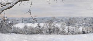 Bílé diamanty Richmond Hill Snow, 2015 (olej na plátně) od Christian Furr