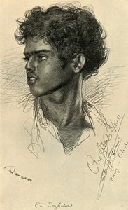 Sinhálský muž, Colombo, Cejlon, 1898. od Christian Wilhelm Allers