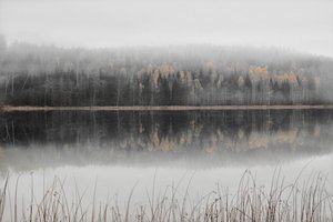 Zamlžené podzimní jezero od Christina Sillen