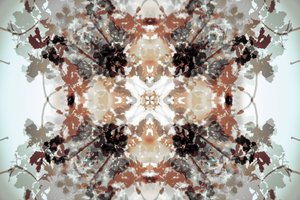 Tlumený botanický kaleidoskop od Christina Sillen