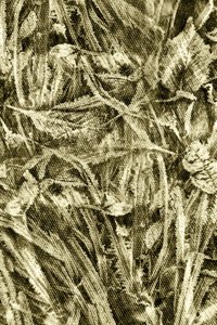Rustikální listová textura od Christina Sillen