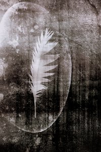 Měsíc bílého peří od Christina Sillen