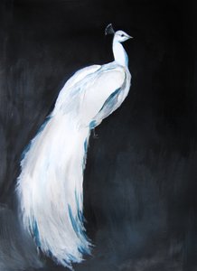 Elegantní bílý páv od Christine Lindstrom