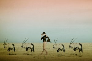 Procházka pouští s oryxem od Christine von Diepenbroek
