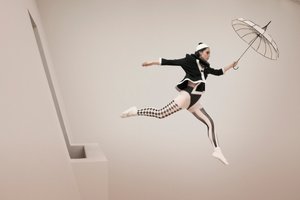 Harlequinův fantaskní let od Christine von Diepenbroek