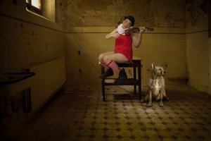 Netradiční pokojová serenáda od Christine von Diepenbroek
