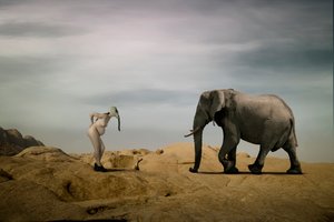 Surrealistické setkání v poušti od Christine von Diepenbroek