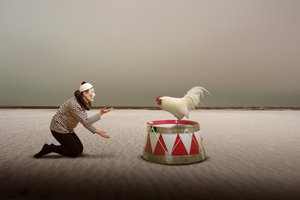 Surrealistická pantomima a kohout od Christine von Diepenbroek