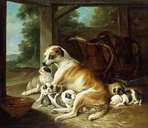 Matka se svými štěňaty, 1734