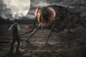 Setkání s obří mouchou od Christophe Kiciak