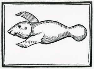 Ryba zvaná „Manati“ z „Obecné historie Indie“ z roku 1547