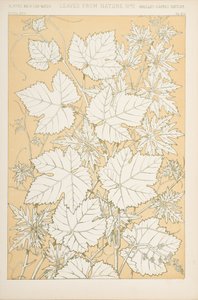 Listy z přírody, 1868 (chromolitho) od Christopher Dresser