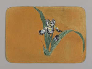Iris (wc na papíře)