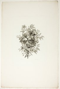 Kytice s vlčími máky ze sbírky různých kytic květin, kterou vymyslel a nakreslil Jean Pillement a vyryl P. C. Canot od Christopher Norton