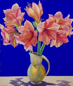 Amaryllis ve džbánu, 2007 (wc a kvaš na papíře)