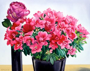 Azalea růže od Christopher Ryland