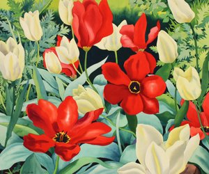 Rané tulipány (akvarel na papíře) od Christopher Ryland