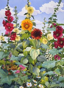 Hollyhocks and Sunflowers, 2003 (akvarel na papíře) od Christopher Ryland