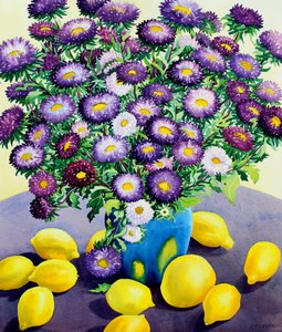 Fialové astry a citrony (akvarel na papíře) od Christopher Ryland