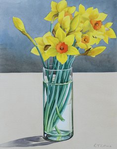 Supermarket Daffodils, 2022 (akvarel na papíře) od Christopher Ryland