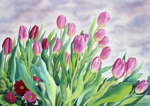 Tulipány u okna (akvarel na papíře)