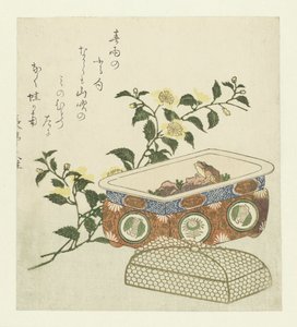 Žába a sprej Kerria Japonica od Chôtei Hisazumi