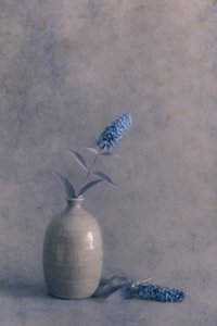  od Cicek Kiral