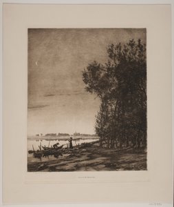 Stromy u jezera od Cilius Johannes Konrad Andersen