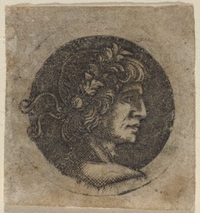 Hlava římského císaře od Circle of Francesco Francia