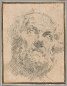 Hlava starého muže, možná Seneca od Circle of Peter Paul Rubens
