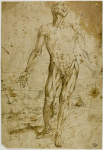 Écorché před krajinou (recto); skici stojícího mužského aktu, sedícího dítěte, stojící ženy (verso) od Circle of Titian