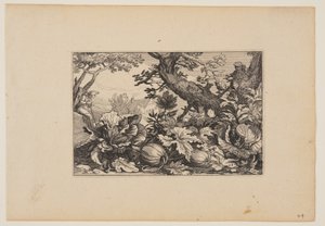Strom a melouny, z knihy Krajiny (Verscheyden aerdige Lanthuysen...) od Claes Jansz. Visscher