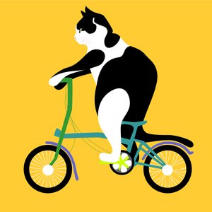 Kočka na kole Brompton
