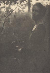 Edge of the Woods, večer, 1900.