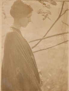 Sluneční světlo od Clarence H. White