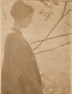 Sluneční světlo, 1899, tištěno 1901.