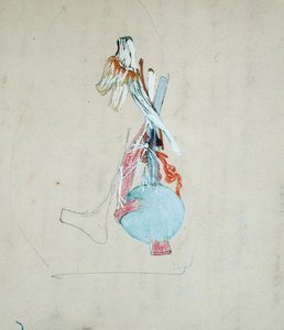 Nervový systém v hlavě kočky, 25. května 1842 (tužka a akvarel na papíře) od Claude Bernard