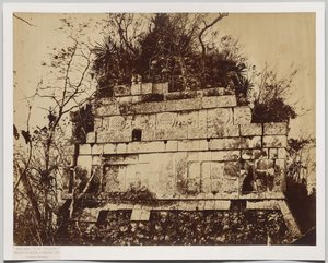 Palác cirkusu v Chichen-Itza (basreliéf tygrů) od Claude Joseph Désiré Charnay