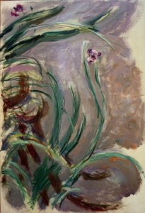 Iris (Irises) od Claude Monet
