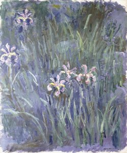 Iris, kolem 1914-1917 od Claude Monet