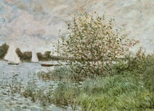 Břehy Seiny poblíž Argenteuil od Claude Monet