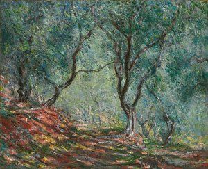 Olivovníky v zahradě Moreno, 1884 od Claude Monet