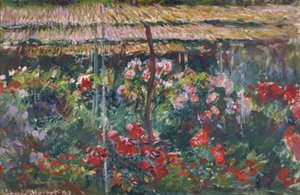 Zahrada s pivoňkami  od Claude Monet