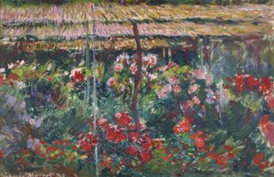 Pivoňková zahrada, 1887 od Claude Monet