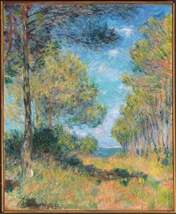 Pine Tree Path ve Varengeville; Allee de sapins Varengeville, 1882 od Claude Monet